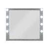 Sliverfluff Mirrored & Champagne Finish Mirror W/Light